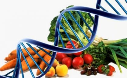 Nutri��o Cl�nica Funcional